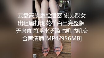 国产麻豆AV 麻豆番外 性爱番外篇 突袭女优计划 EP2 肉棒突击队强制要求与主持人发生性爱 艾秋