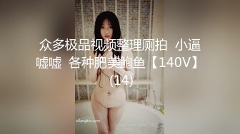 车震 天津小少妇