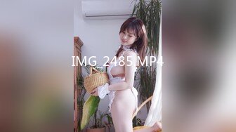 【香蕉视频】xjx-0113 相亲走错门痴女不放人 波尼