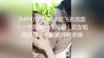 丝袜服饰系列写真~美腿丝袜【19V】 (6)