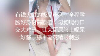 星空素人自制小猫咪 我的猫咪女仆