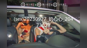 91MS-012.夏玉玲.E罩杯巨乳女郎.91制片厂