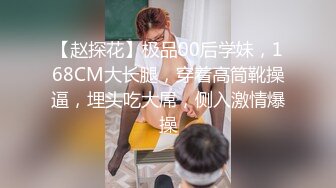 [MP4]麻豆导演系列-色淫師硬上巨乳雷姆coser 诱惑口活射出还要再来一炮