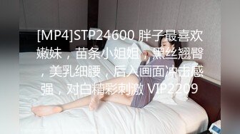 [MP4]STP24600 胖子最喜欢嫩妹，苗条小姐姐，黑丝翘臀，美乳细腰，后入画面冲击感强，对白精彩刺激 VIP2209