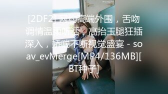 国产麻豆AV MD MD0116 情欲冬季温泉激战 下体塞跳蛋搭讪路人 新人女优 李文雯