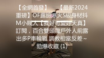 私房最新流出精品厕拍七月新作 徐娘 少妇 超近视角 针织厂系列 四（2）二次入镜红衣高跟少妇 (3)