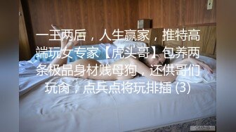 十二月最新流出 厕所偷拍跟着女友上厕所，变态男对着女厕撒尿