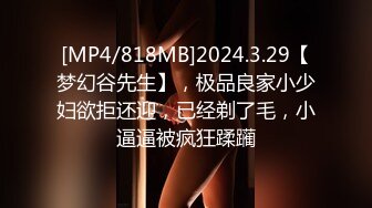 [MP4/ 1.21G] 延安安姐第一次肛交