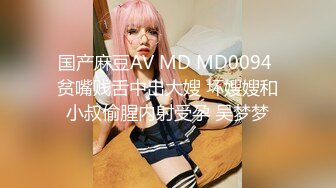 国产麻豆AV MD MD0094 贫嘴贱舌中出大嫂 坏嫂嫂和小叔偷腥内射受孕 吴梦梦