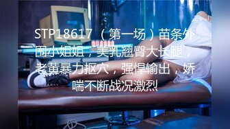 国产麻豆AV 蜜桃影像传媒 PMD001 EP3 东京爱情故事3 辉月杏梨