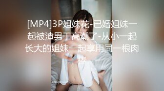 商场女厕全景偷拍几位美少妇的极品美鲍鱼