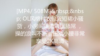 [MP4/ 508M]&nbsp;&nbsp; OL风格衬衣包臀短裙小骚货，小房间操逼吸蛋舔屌 ，操的浪叫不断，扭动小腰非常享受2K高清