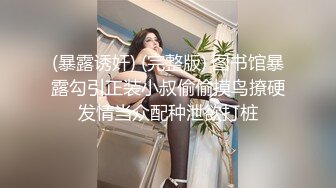 国产CD系列韩允儿2 黑丝性感内衣口交喜欢被舔乳头的直男 后入爆操大喊“你操死我了”