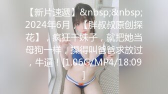 SAWY381 极品反差婊元气少女沦为骚气小母狗 SA国际传媒 x 无忧传媒