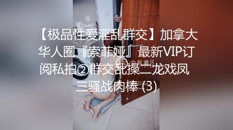 【极品性爱淫乱群交】加拿大华人圈『索菲娅』最新VIP订阅私拍②群交乱操二龙戏凤 三骚战肉棒 (3)